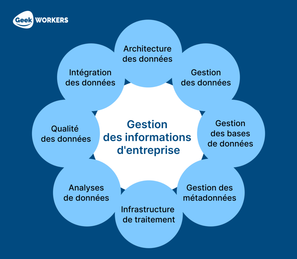 Big data dans les entreprises: gestion des informations